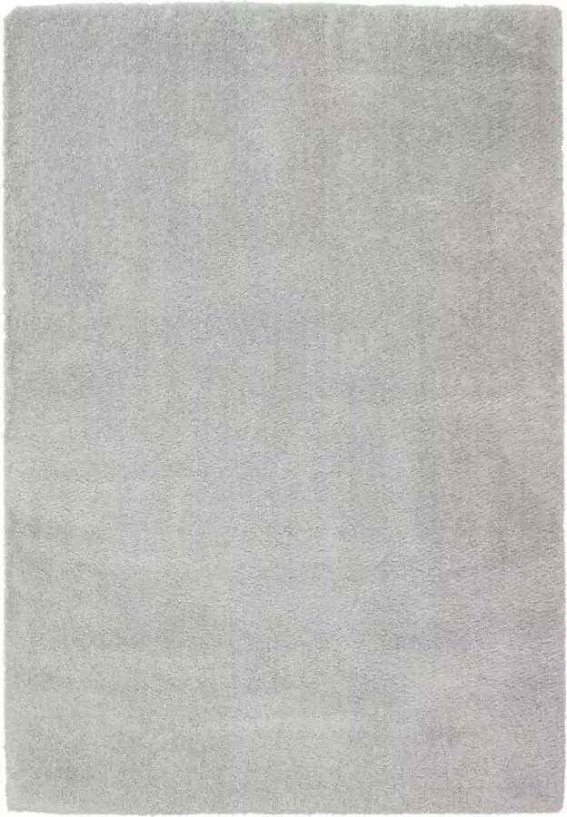 Flooo Vloerkleed Soft Touch Silver Grey Grijs Tapijten woonkamer Hoogpolig Extreem zacht 240x340