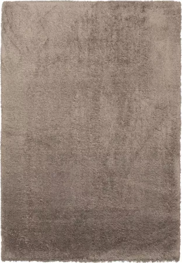 Flooo Vloerkleed Soft Touch Taupe Tapijten woonkamer Hoogpolig Extreem zacht 300x400