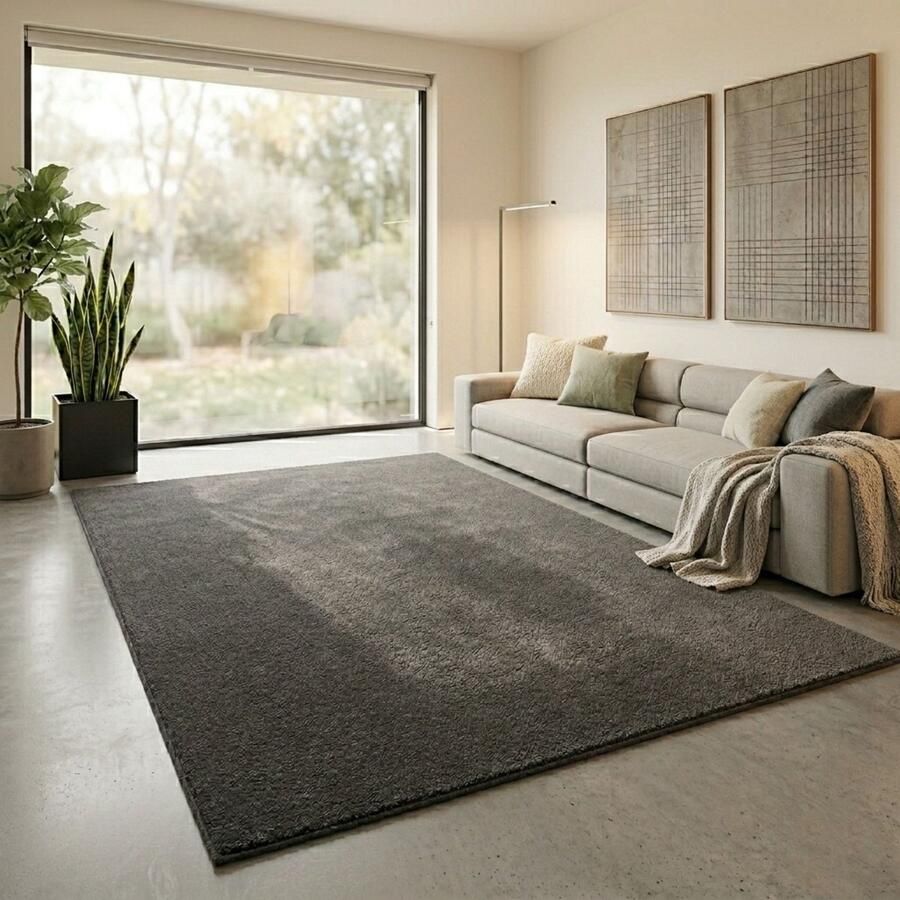 Floordirekt Velours Tapijt op Maat Dynasty Loper met Zachte Fluwelen Pool Antraciet 100 x 200 cm Luxe Comfortabel & Onderhoudsvriendelijk Verkrijgbaar in Verschillende Maten voor Hal Keuken & Woonruimte - Foto 3