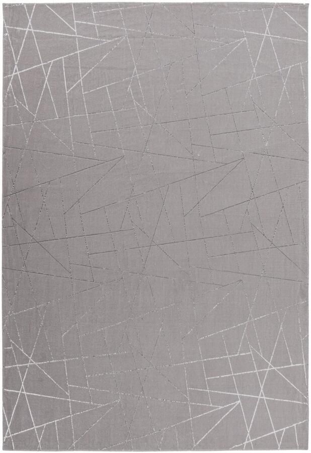 Floraya Vloerkleed Bijou Taupe Zilver 200x290 cm 13mm dik Laagpolig