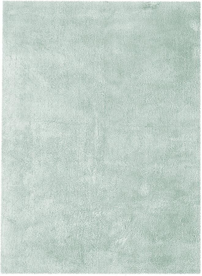 Floraya Vloerkleed Snuggle Mintgroen 160 x 230 cm Hoogpolig Tapijt