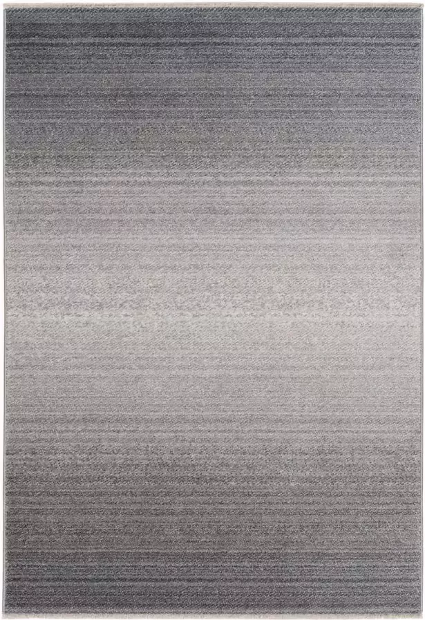 Flycarpets Agathe Modern Gestreept Vloerkleed 160x230cm Grijs