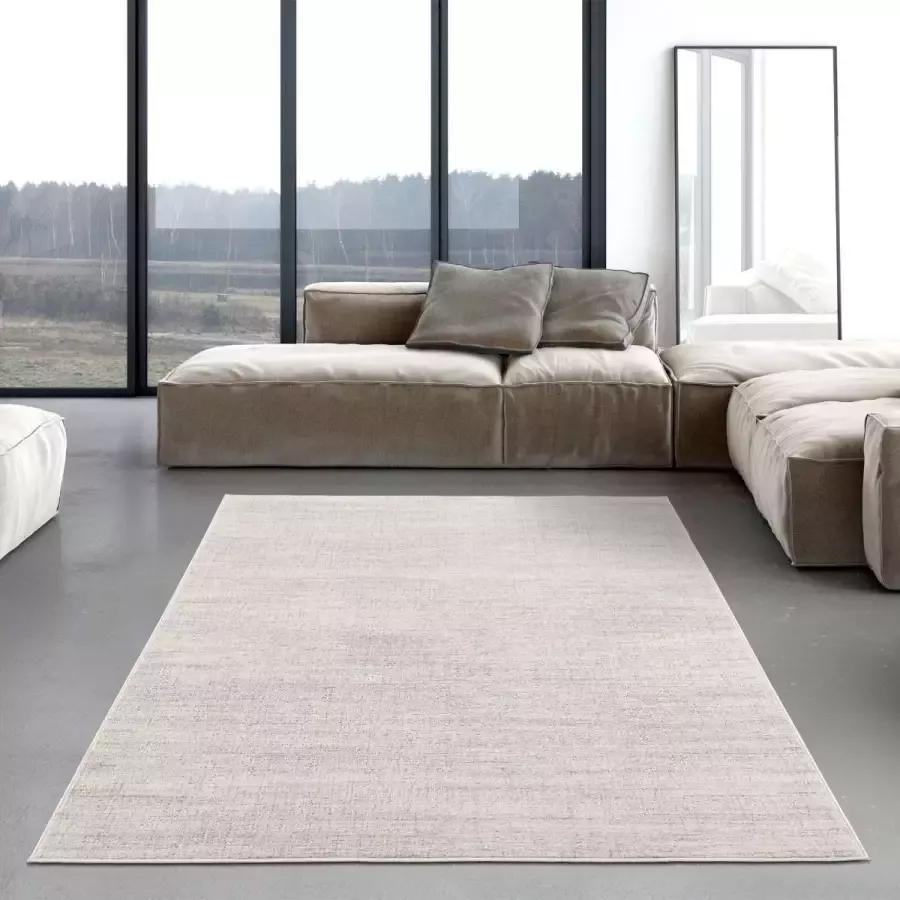 Flycarpets Aricia Gemêleerd Vloerkleed Grijs Crème Laagpolig Woonkamer 120x170 cm