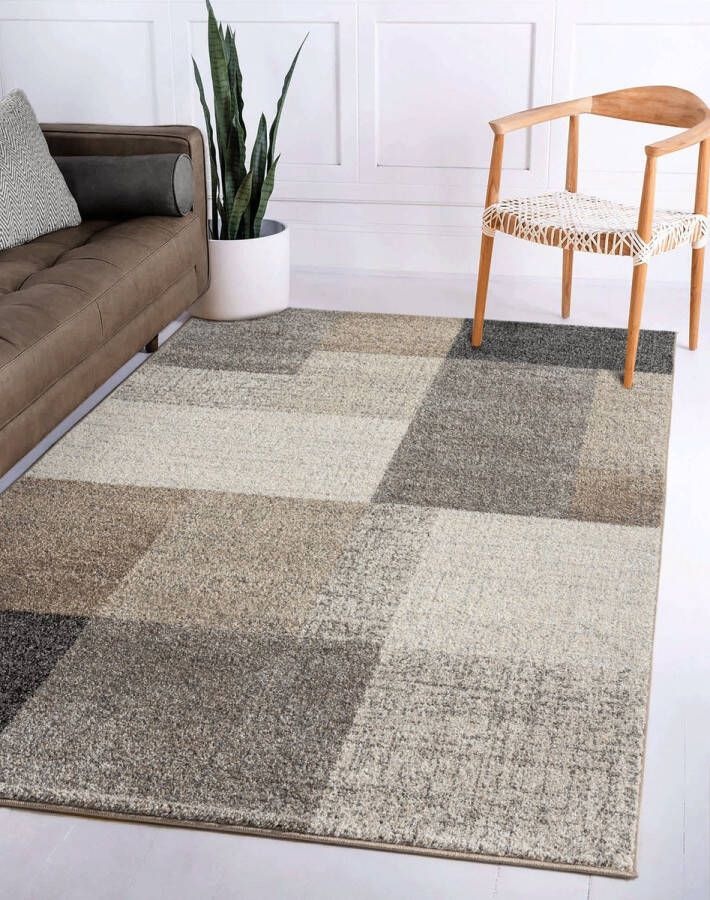 Flycarpets Belos Vloerkleed Geblokt Beige Grijs Taupe Laagpolig Tapijt 240x330 cm