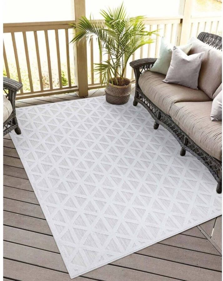 Flycarpets Caprenia Zilver Lichtgrijs Buitenkleed Vloerkleed Buiten Laagpolig Tuinkleed Tuintapijt Buitentapijt 120x170 cm - Foto 2