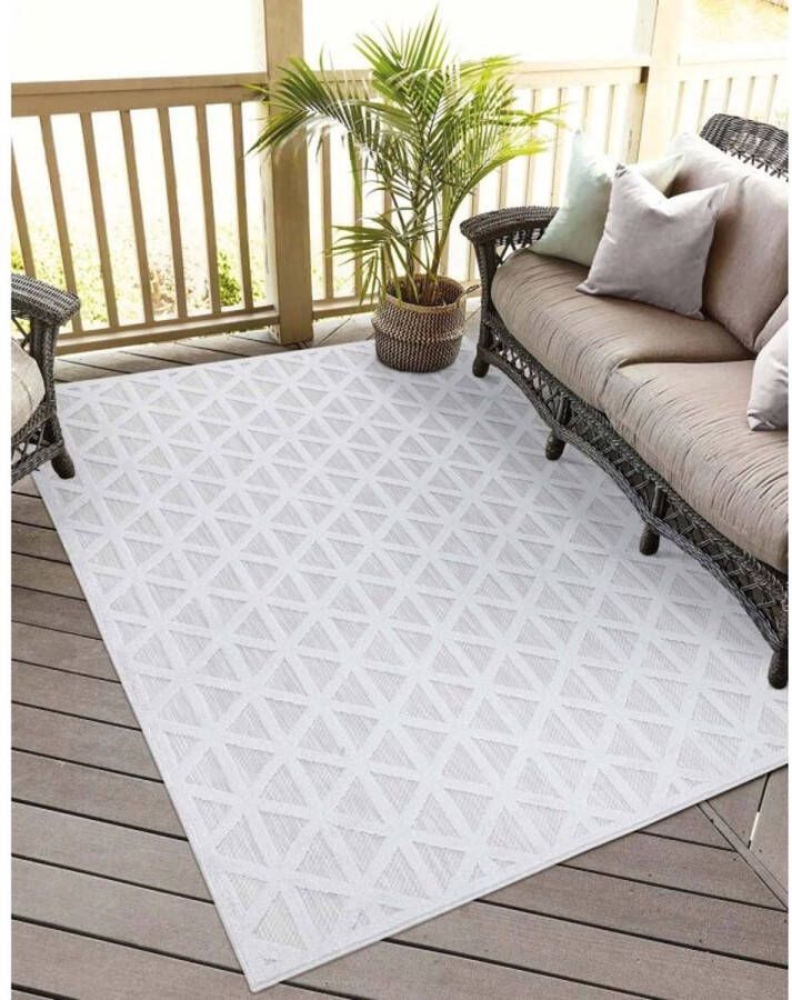 Flycarpets Caprenia Zilver Lichtgrijs Buitenkleed Vierkant Vloerkleed Buiten Laagpolig Tuinkleed Tuintapijt Buitentapijt 150x150 cm - Foto 2