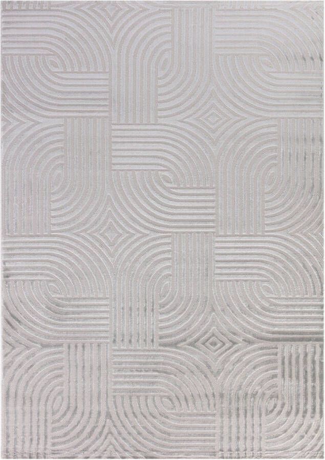 Flycarpets Cara Modern Japandi Architectura Vloerkleed Zilver 120x170 cm