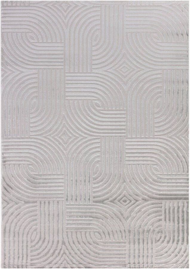 Flycarpets Cara Modern Japandi Architectura Vloerkleed Zilver 140x200 cm