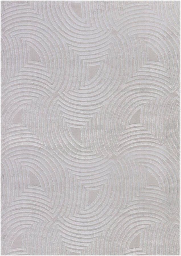 Flycarpets Cara Modern Japandi Duna Vloerkleed Zilver 140x200 cm