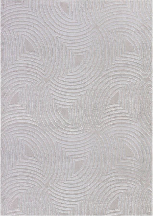 Flycarpets Cara Modern Japandi Duna Vloerkleed Zilver 200x290 cm