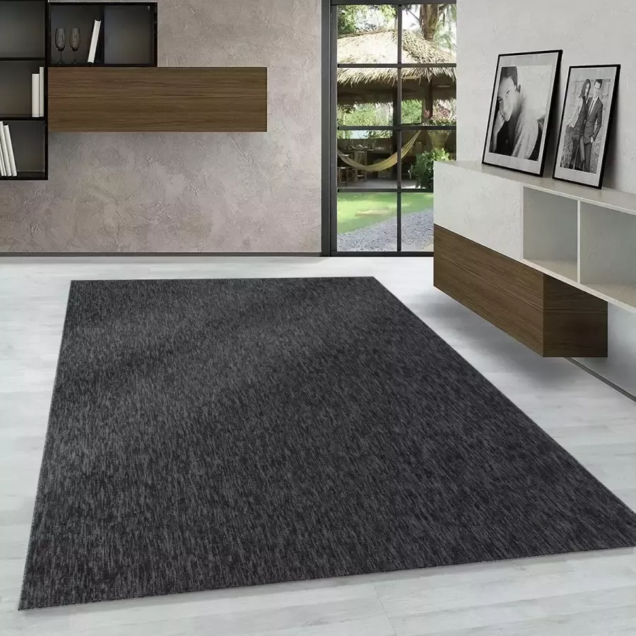 Flycarpets Darian Vloerkleed Effen Laagpolig Antraciet 160x230 cm