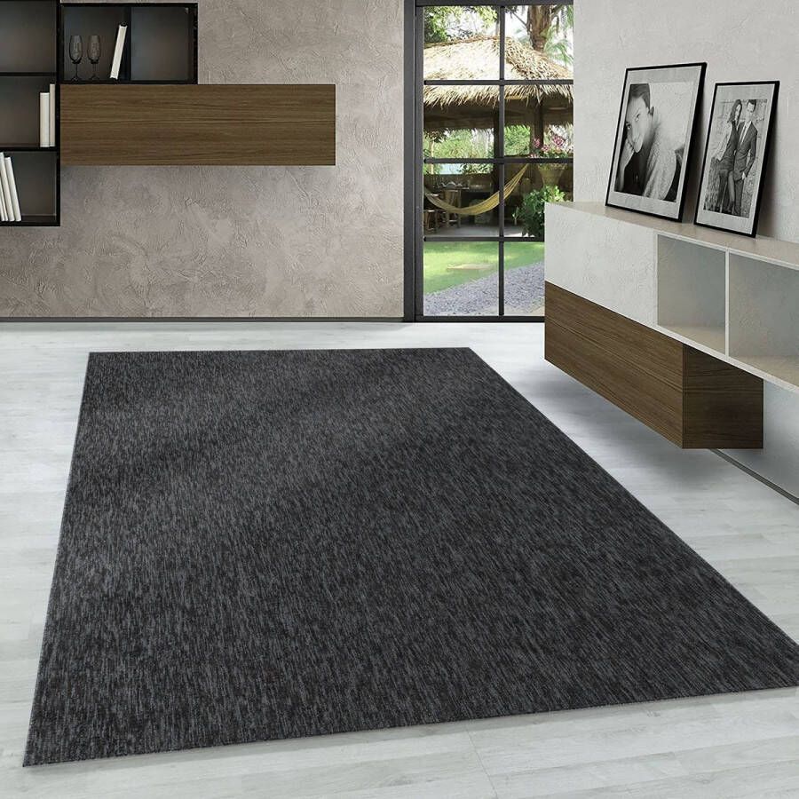 Flycarpets DARIAN LAAGPOLIG ANTRACIET VLOERKLEED EFFEN