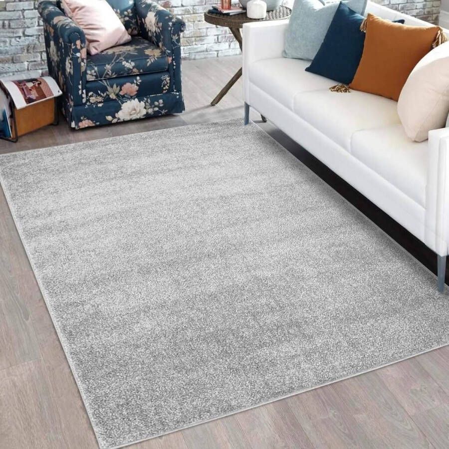 Flycarpets Felta Modern Effen Laagpolig Vloerkleed Zilver 80x150 cm