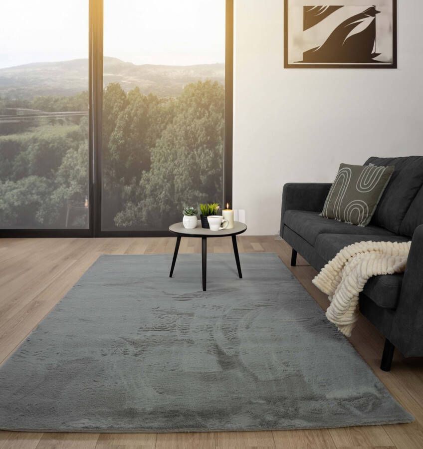 Flycarpets Fluffy Hoogpolig Super Zacht Effen Vloerkleed Lichtgrijs Zilver 120x170 cm - Foto 2
