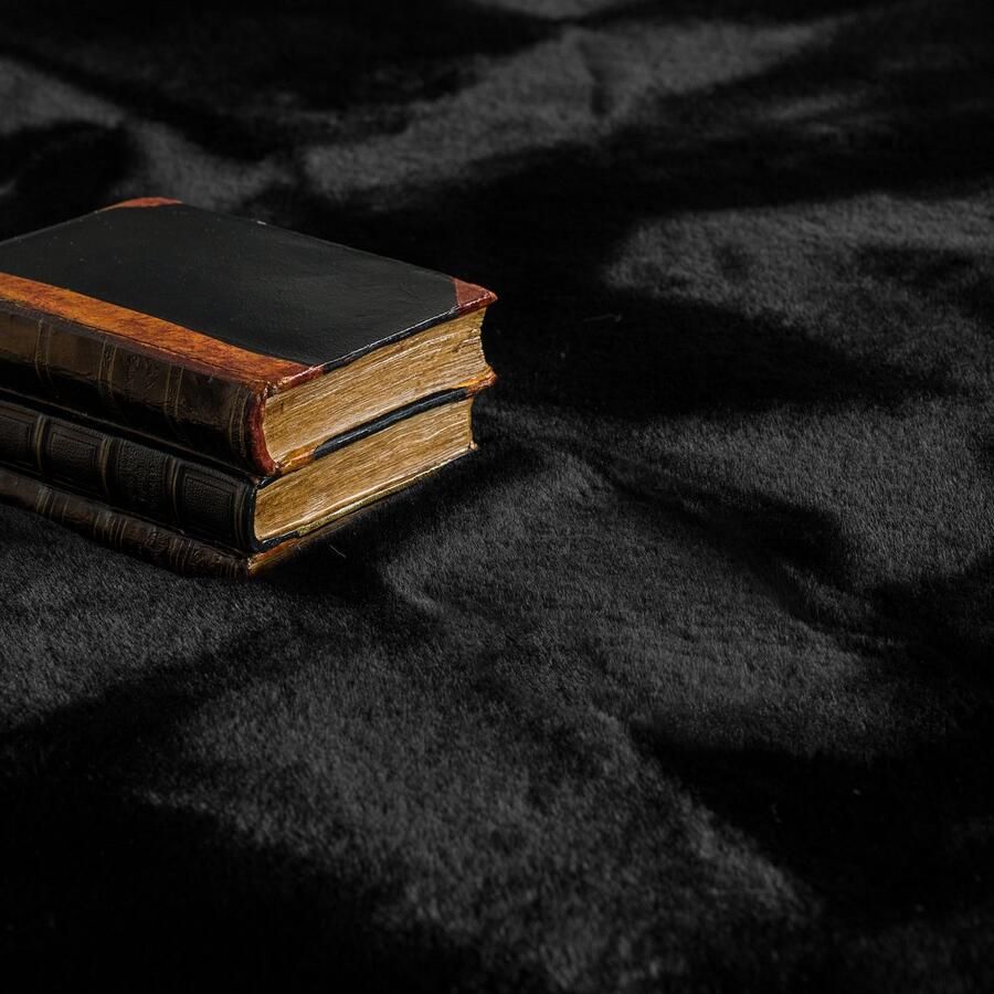 Flycarpets Hoogpolig Rabbit Plus Vloerkleed Effen Uni Zwart