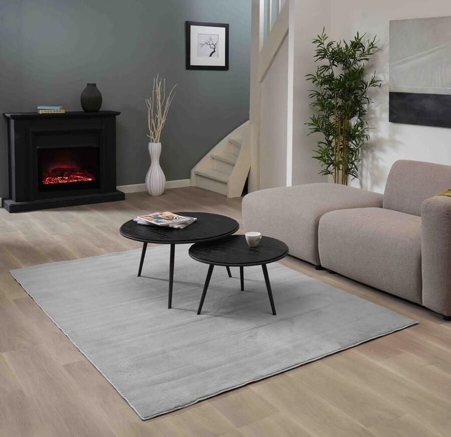 Flycarpets Malaga Laagpolig Vloerkleed Zilver Wasbaar Tapijt Woonkamer 200x280 cm