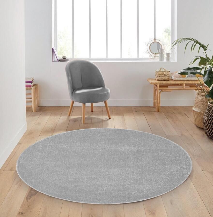 Flycarpets Mono Modern Effen Vloerkleed Rond Grijs 200 cm