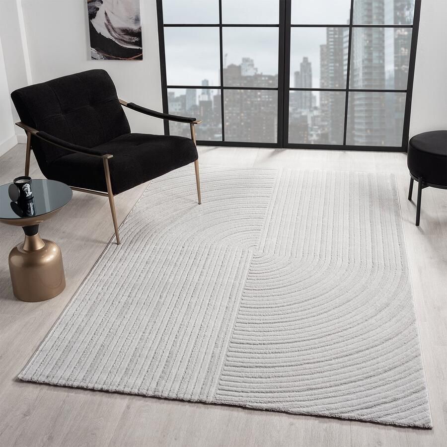 Flycarpets Petronia Modern Japandi Vloerkleed Grijs 160x230 cm