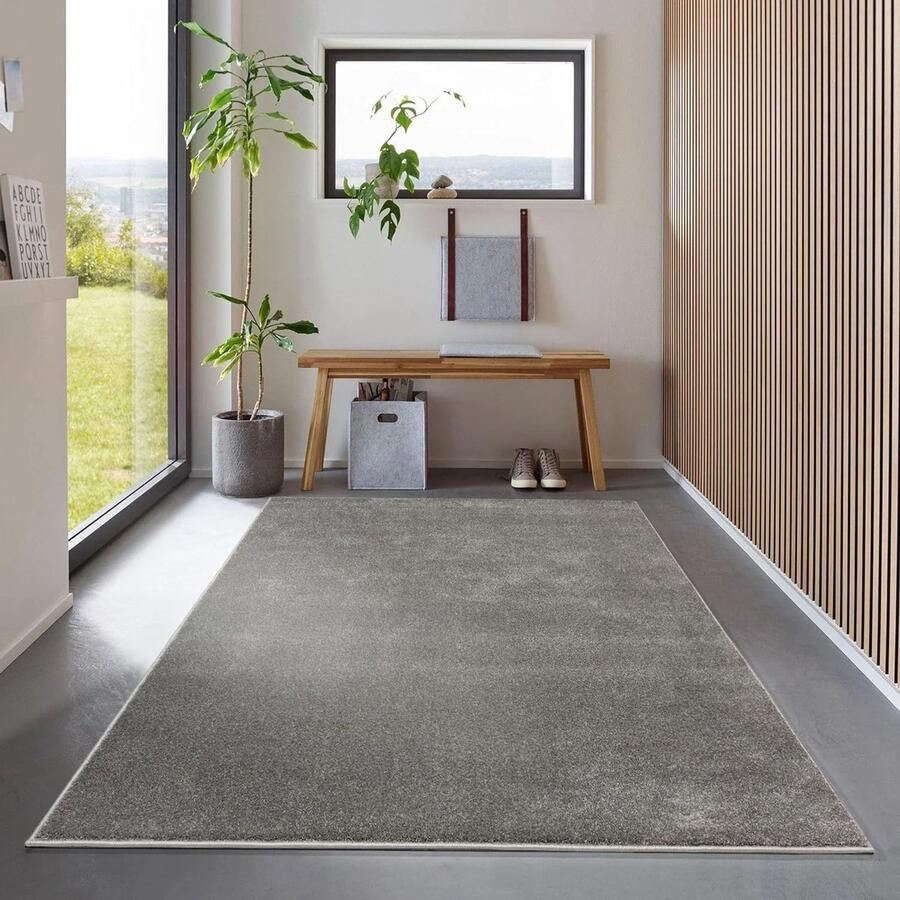 Flycarpets Ravenna Effen Vloerkleed Antraciet Donkergrijs Tapijt voor Woonkamer Laagpolig 200x290 cm