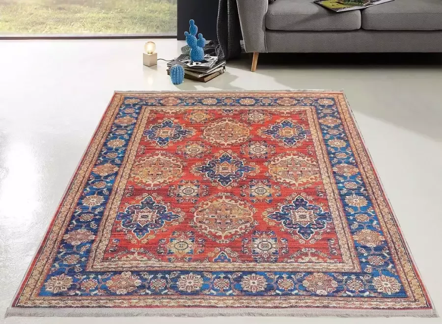 Flycarpets Hana Wasbaar Vintage Vloerkleed Rood Blauw Laagpolig Tapijt Woonkamer 120x170 cm