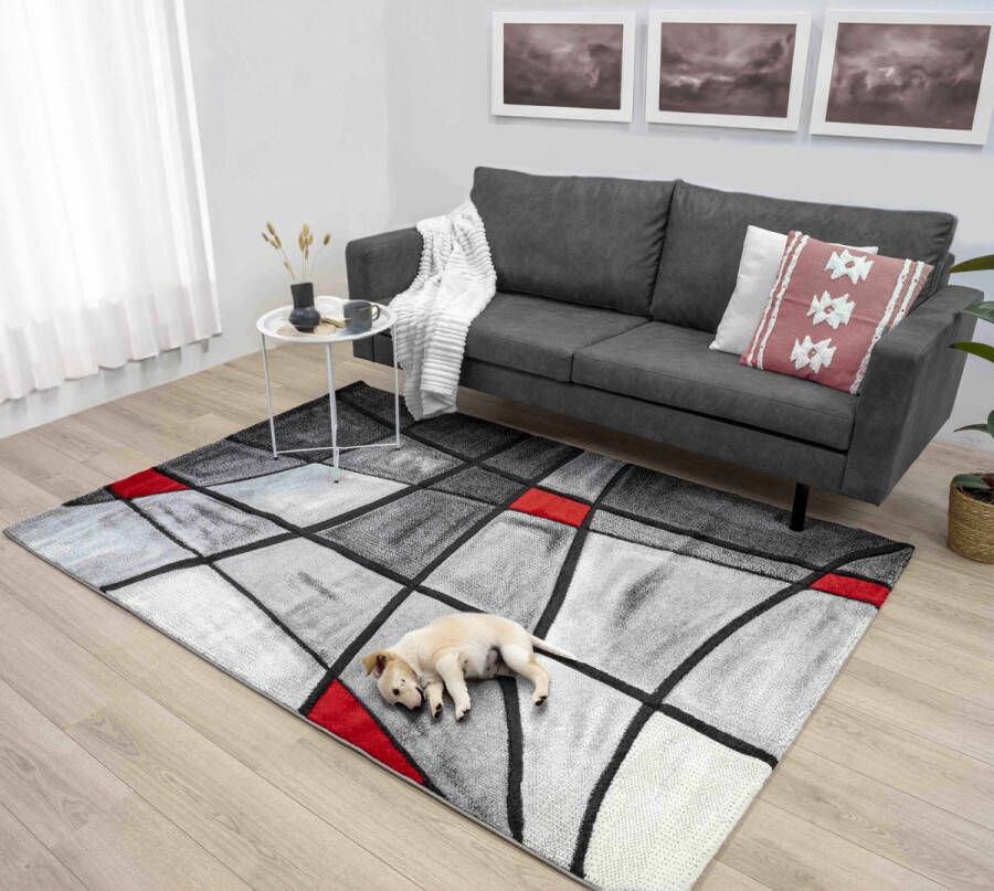 Flycarpets Kristal Modern Vloerkleed 160x230cm Rood - Foto 2