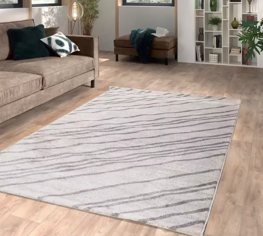 Flycarpets Lima Vloerkleed 120x170 cm Grijs Beige Polypropyleen Voor binnen Diagonaal Gestreept Patroon Rechthoek Modern Woonkamer Laagpolig