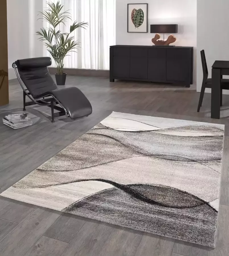 flycarpets Nida Modern Vloerkleed 120x170cm Beige Grijs Lijstmotief