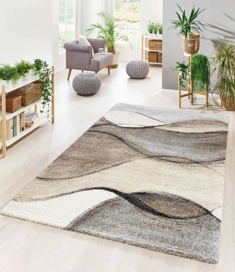 Flycarpets Nida Modern Vloerkleed 80x150cm Beige Grijs Lijstmotief