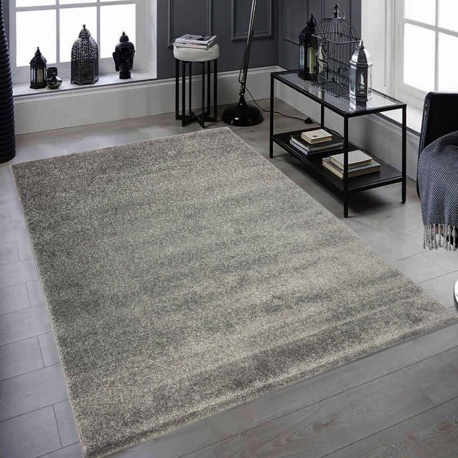 flycarpets PIETRO MODERN GRIJS VLOERKLEED EFFEN