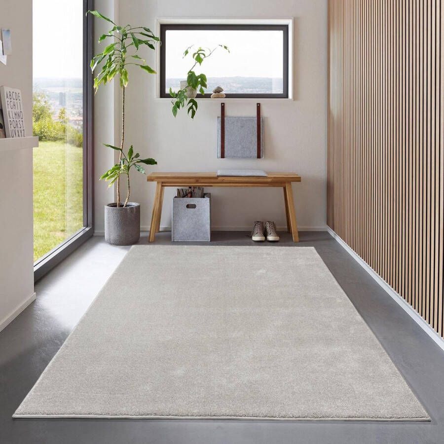 Flycarpets Ravenna Effen Vloerkleed Grijs Tapijt voor Woonkamer Laagpolig 120x170 cm