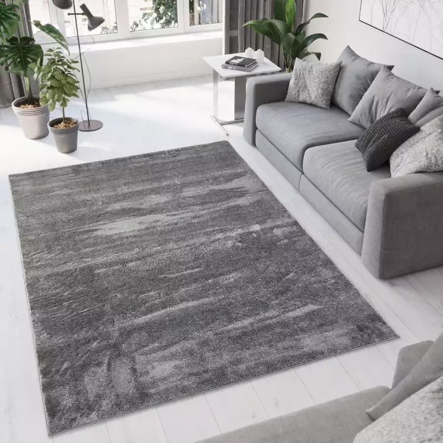 Flycarpets Ravenna Effen Vloerkleed Antraciet Donkergrijs Tapijt voor Woonkamer Laagpolig 200x290 cm