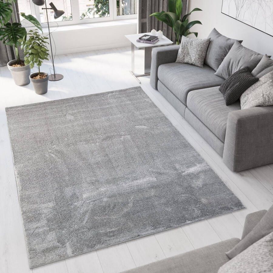 flycarpets Ravenna Vloerkleed 200x290cm Grijs 17mm Poolhoogte