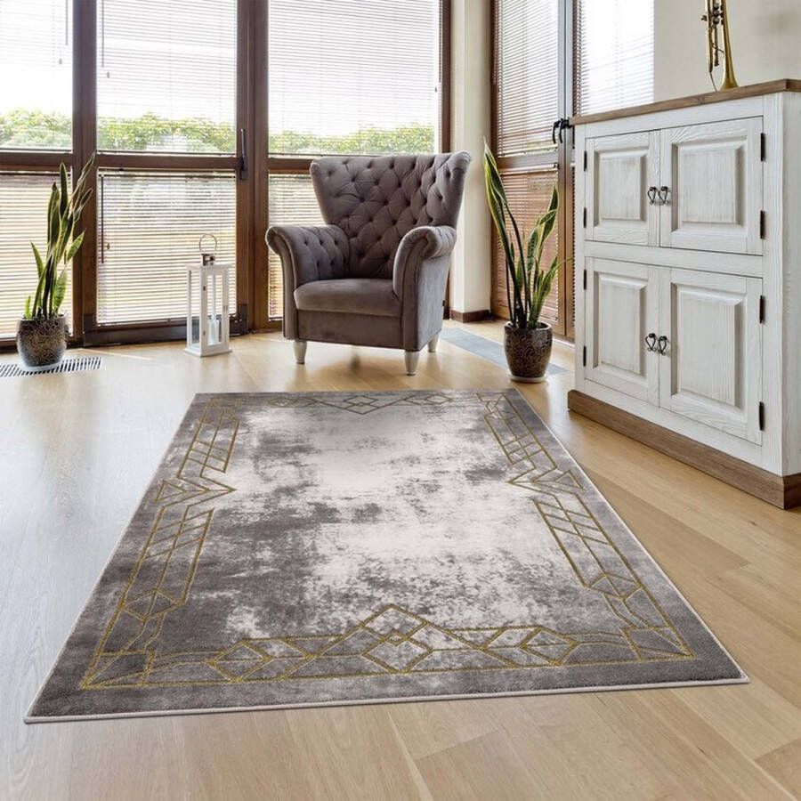 Flycarpets Rosalia Modern Kader Vloerkleed Grijs Goud 80x300 cm Loper voor in de gang