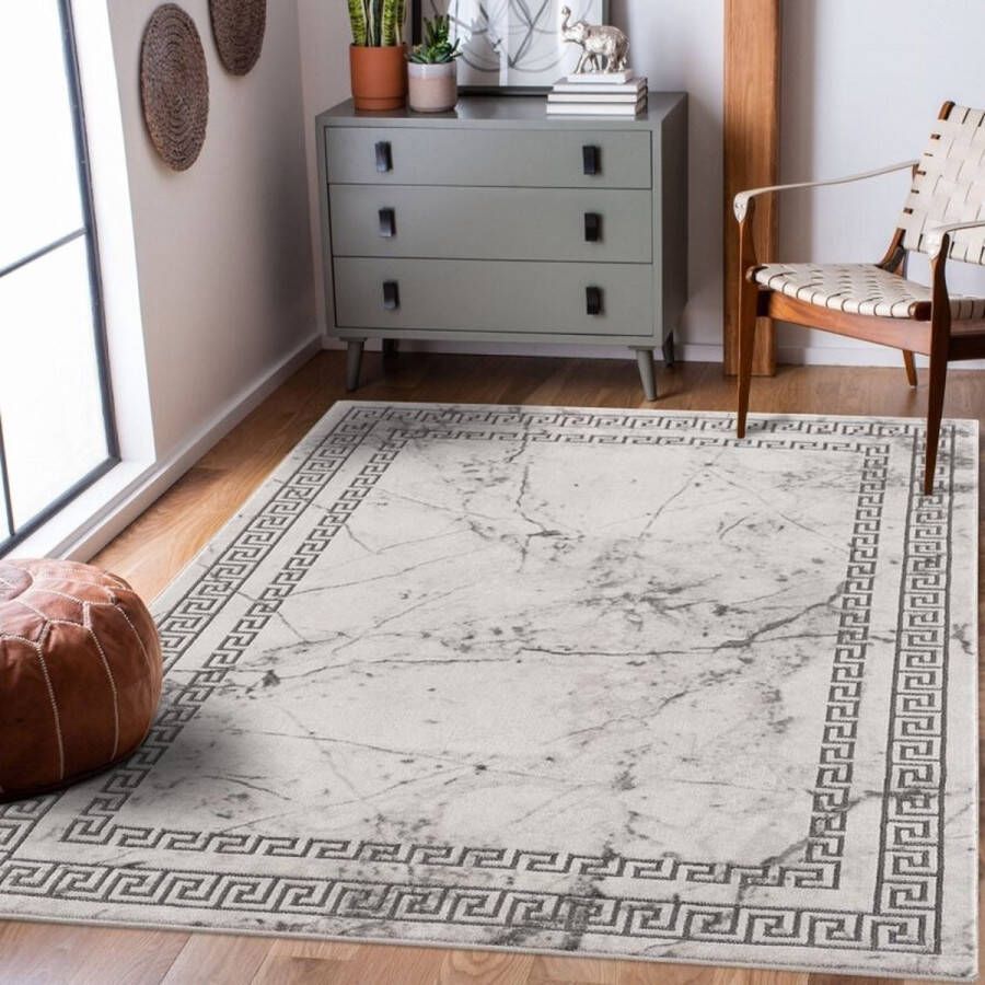Flycarpets Rosalia Modern Marmer Design Vloerkleed Grijs 200x290 cm
