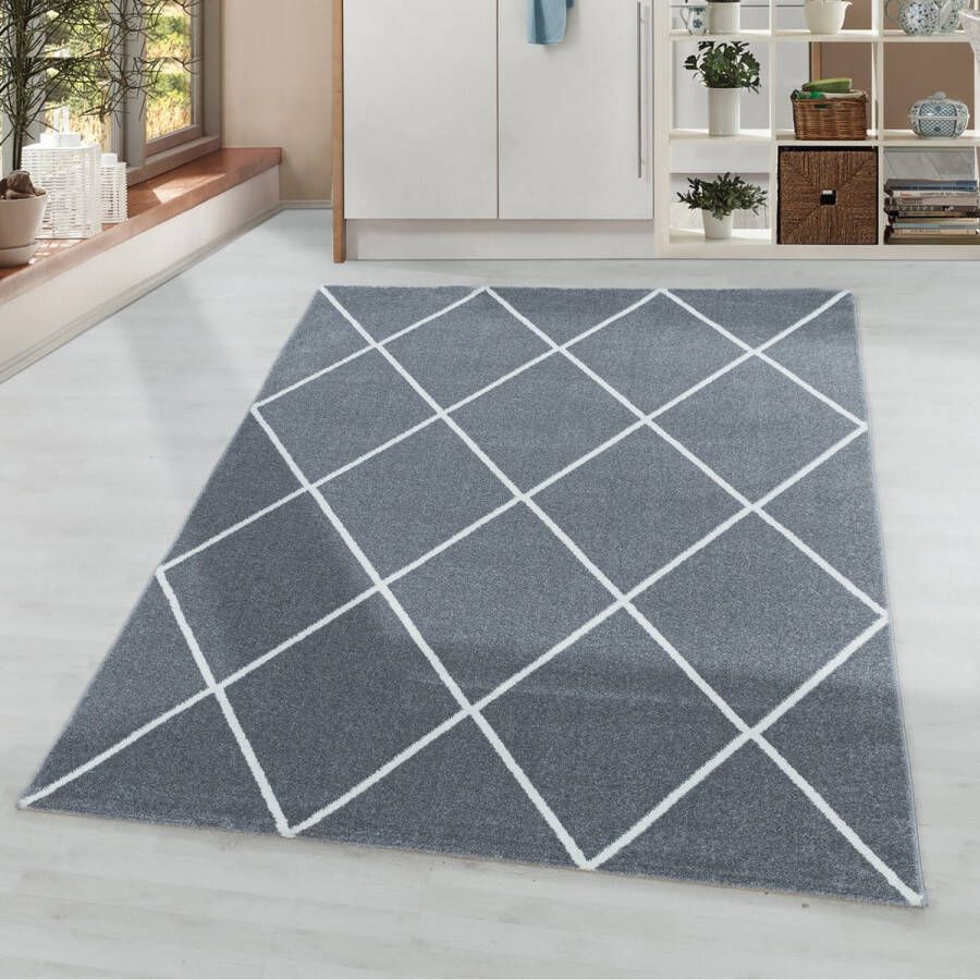 Flycarpets Sara Modern Vloerkleed Grijs Geruit Motief Laagpolig 160x230 cm