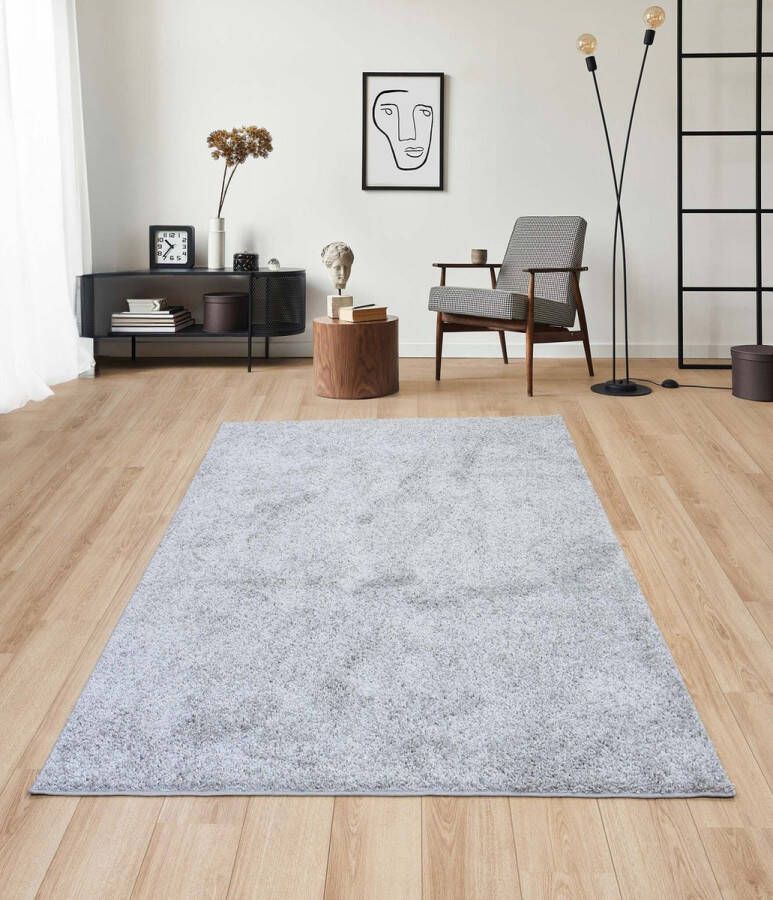 Flycarpets Sida Hoogpolig & Wasbaar Effen Vloerkleed Grijs 80x150 cm