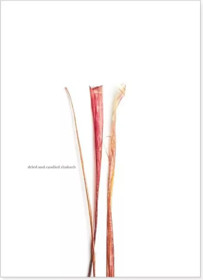 Foodbrusher Food art print met rabarber Postcard om op te sturen of voor in de keuken of woonkamer Wanddecoratie voor in een Scandinavisch interieur of boven de eettafel in de eetkamer| Prints gedrukt op FSC gecertificeerd papier 13x18