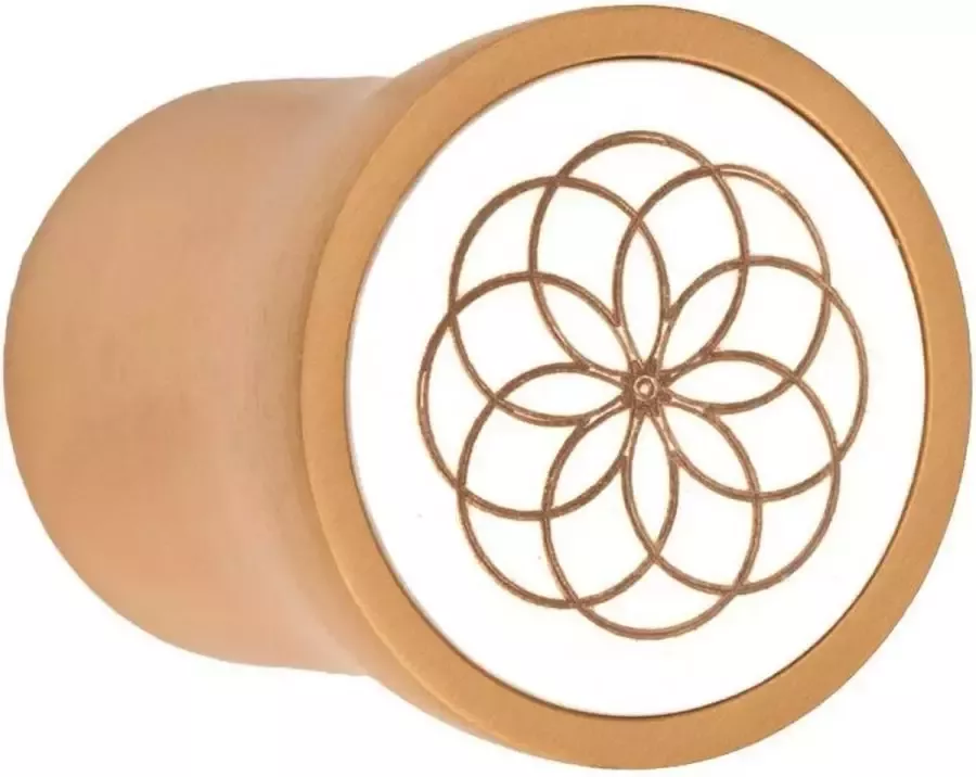 Formani NOUR EV25 meubelknop rond 23 mm PVD mat goud