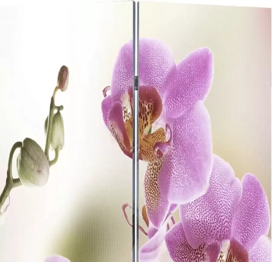 ForYou Prolenta Premium Kamerscherm inklapbaar bloem 200x170 cm