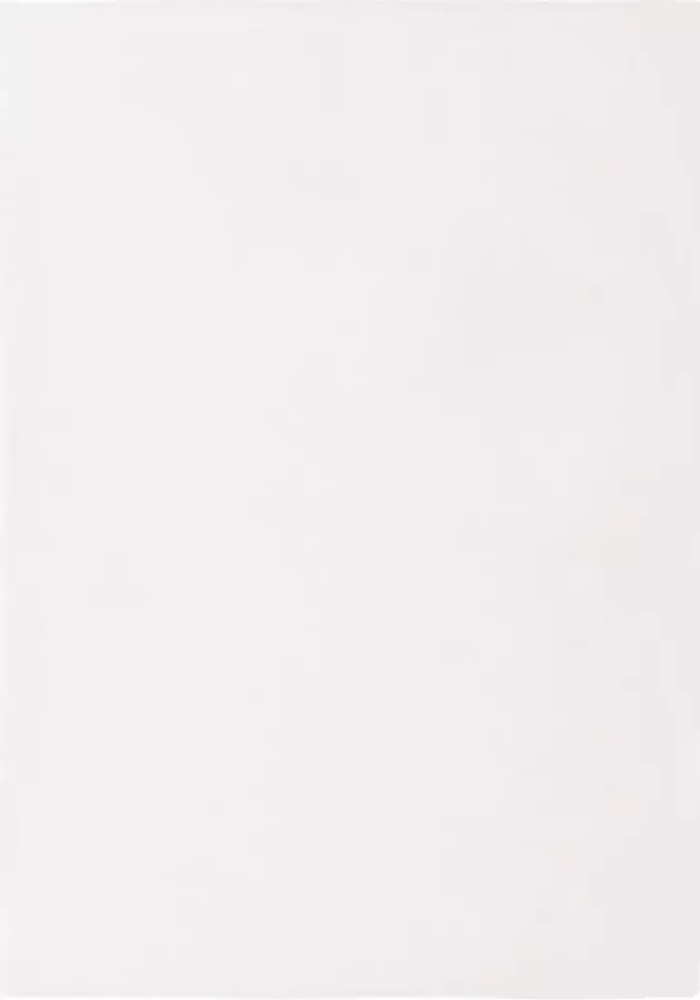 ForYou Prolenta Premium Vloerkleed 200x300 cm kunstkonijnenbont crèmekleurig