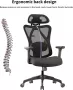 FOXSPORT Bureaustoel Ergonomische bureaustoel Draaistoel met hoge rugleuning Lendensteun Verstelbare hoofdsteun 3D Armleuning office chair- Mesh thuiskantoor Maximale belasting 150KG Zwart - Thumbnail 2