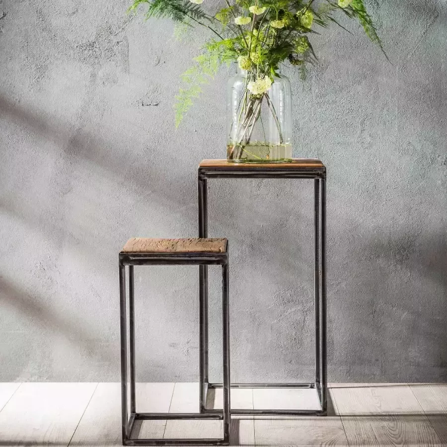 Fraaai Plantentafel Bijzettafel Gijs Set van Twee