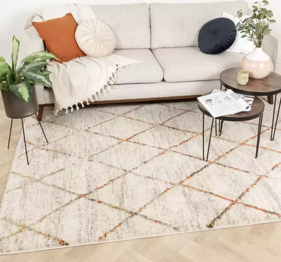 Fraai Hoogpolig vloerkleed Blend Lines Terra 200x290cm