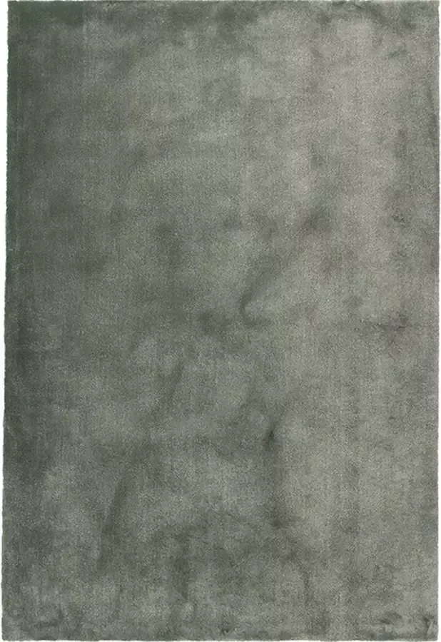 Fraai Wasbaar viscose vloerkleed Vive Groen 200x290cm