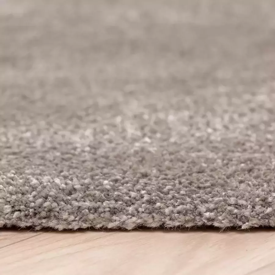 Fraai Wasbaar viscose vloerkleed Vive Taupe 160x230cm