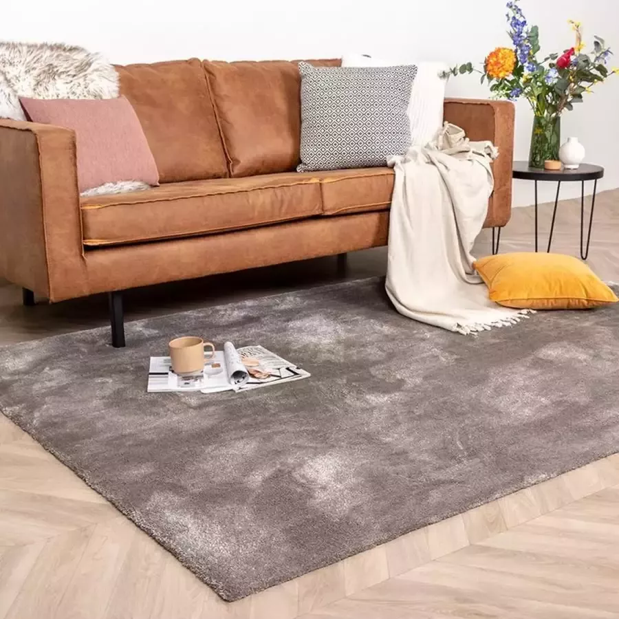Fraai Wasbaar viscose vloerkleed Vive Taupe 200x290cm