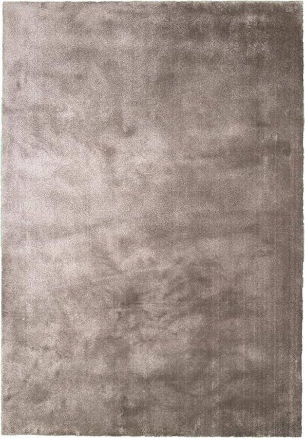 Fraai Wasbaar viscose vloerkleed Vive Taupe 240x340cm