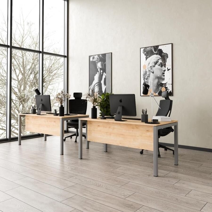 Furni24 Bureau Tetra homeoffice bureautafel 160 x 80 x 75 cm saffier eiken decor zilver RAL 9006
