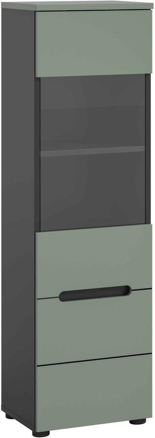 Furnilux Canu vitrinekast staand-hangend Smoke Green NB Basaltgrijs NB Abs. Smoke Green NB 33x36x125cm