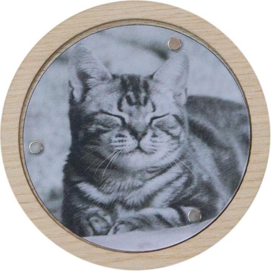 Furniteam Wand Kapstok Met Magnetische Fotolijst Maat L Afmeting: D20xH20 cm Naturel